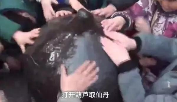 ������Ը��ת���󸣣��������֡������ٳ������������й�����