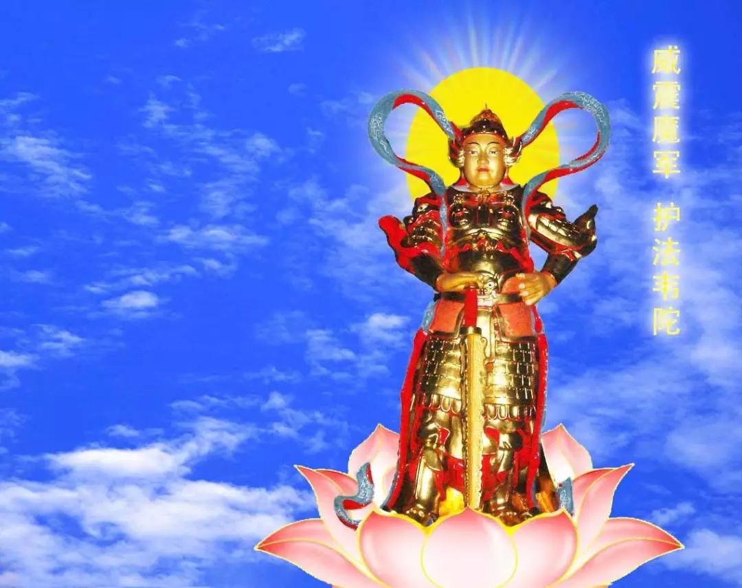 Τ�����������¼�����