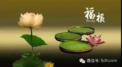 �ִ��˵ı�Ӧ��Ϊʲô���ÿ�_�������ͣ�