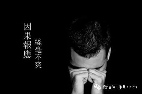 �ִ��˵ı�Ӧ��Ϊʲô���ÿ�_�������ͣ�