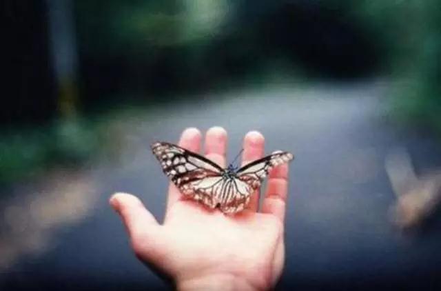 往生是当下转念头的功夫,不单是临命终的事情 往生是当下转念头的功夫,不单是临命终的事情