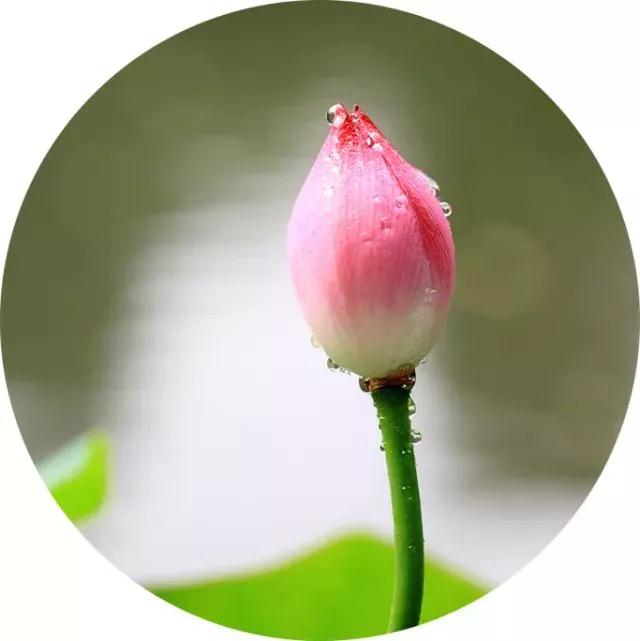 ʵ��_|_����վ������������������������������±����ˣ�