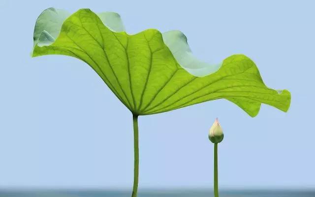 ʵ��_|_����վ������������������������������±����ˣ�