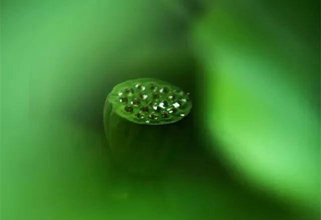 ʵ��_|_����վ������������������������������±����ˣ�