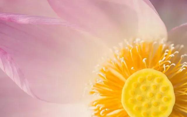 ʵ��_|_����վ������������������������������±����ˣ�