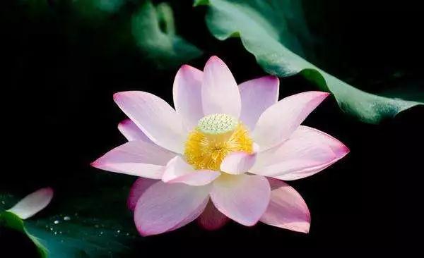 ӡ�ⷨʦ��ĩ��ʱ�ھ����������ȵ���