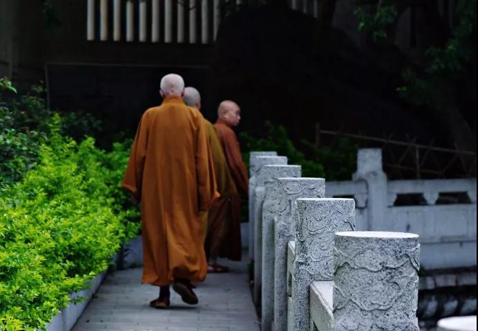 ��ɮ���������������