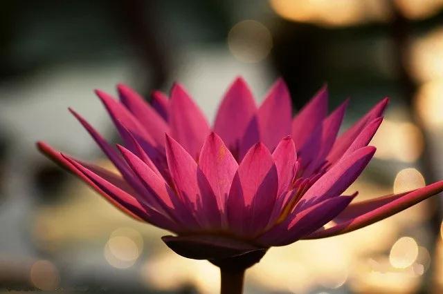 �ร_|_���û�и���������·���ϰ��ͻ�ܶ�