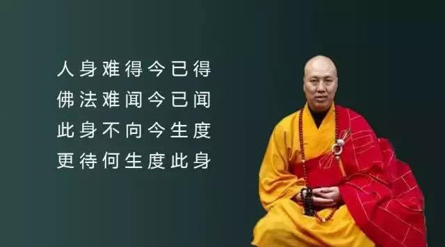 һ���ţ����ڰ�����Ͷ��һ����