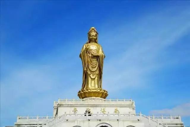 �嶨��ʦ������������������Ż���Ϊ��