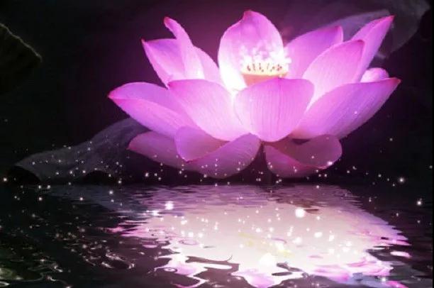 �����������������ƻ����й�ϵ��