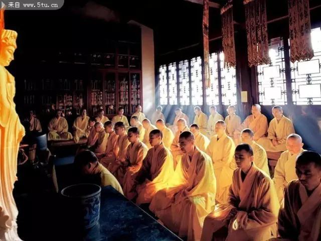 ʲô���������¡����������¡����ǳ���������