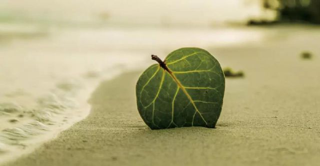 ѧ�������㣬�����ׯ�ϡ������ѡ���