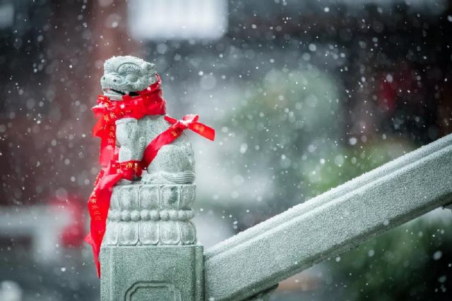 �����Ͻ��ڰ�ѧ��ʮ����������Ũ�����ˡ����仰��