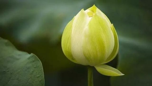 һ�����¸����㣺ԭ�������Ķ����и�֮�ˣ�