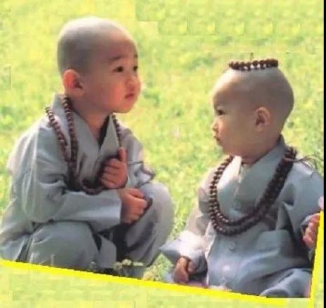 С��������ʲô����Ƚ϶Ի���