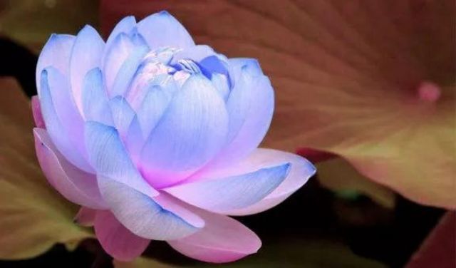 ����û���������±��Ӿ͸���������