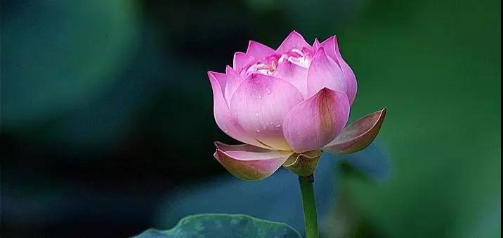 ����������辫������