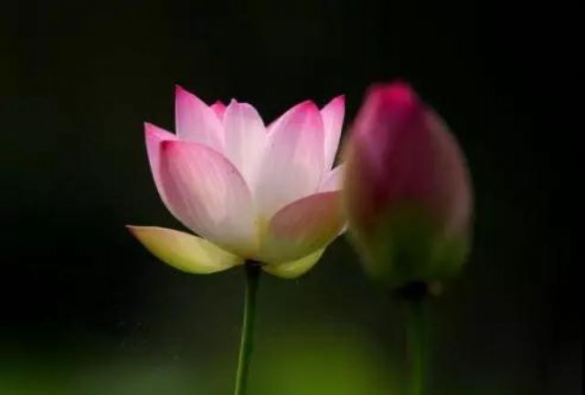 ��Ը�������ٴΣ�Ů�����������Ȭ��