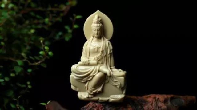 ��Ⱥ��ʦ���������ľ����İ�������