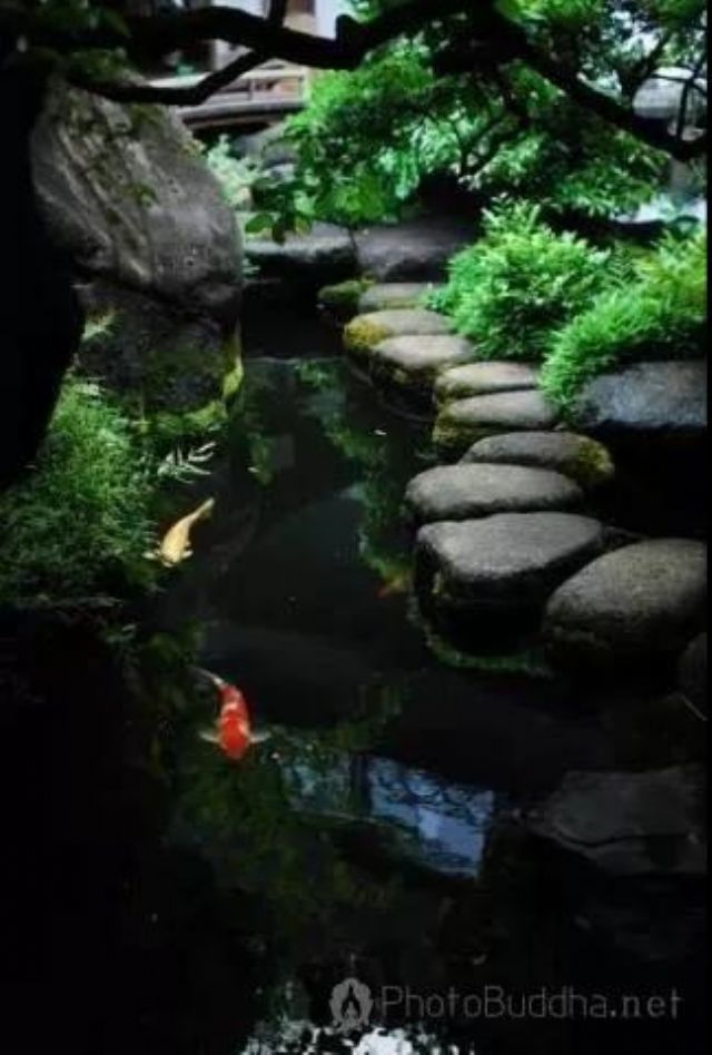 ӡ���ʦ���16������ָ�������������Ľݾ�