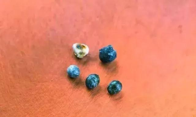 七位老和尚舍利子公开!临终留下的话,看完一生受益… 七位老和尚舍利子公开!临终留下的话,看完一生受益…