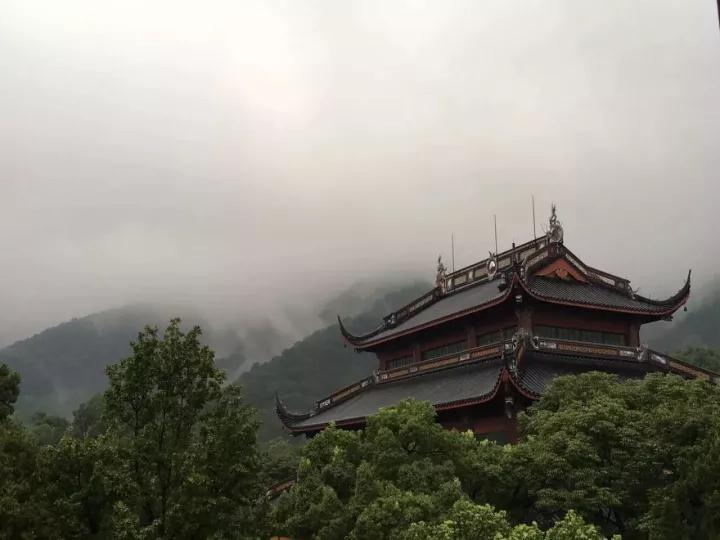 持名与实相念佛的统一 持名与实相念佛的统一