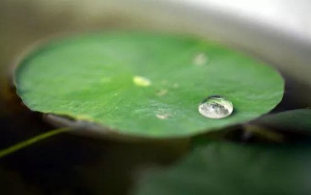 ��ʾ_|_���ң�����ί���Լ�����ȫ����