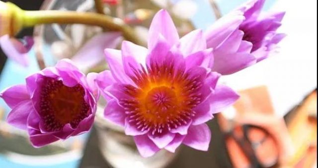 ��������˼Ω�飬�������Ӹ���˭