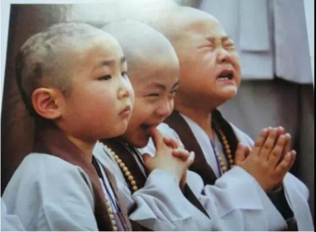 你听到佛号会生起什么想法? 你听到佛号会生起什么想法?