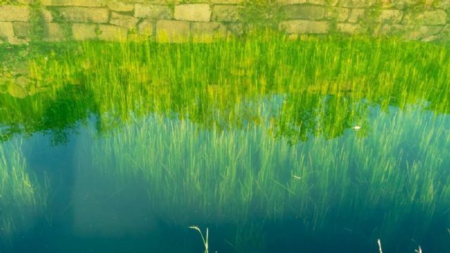 ����վ���֮һ�з����λ���Ӱ