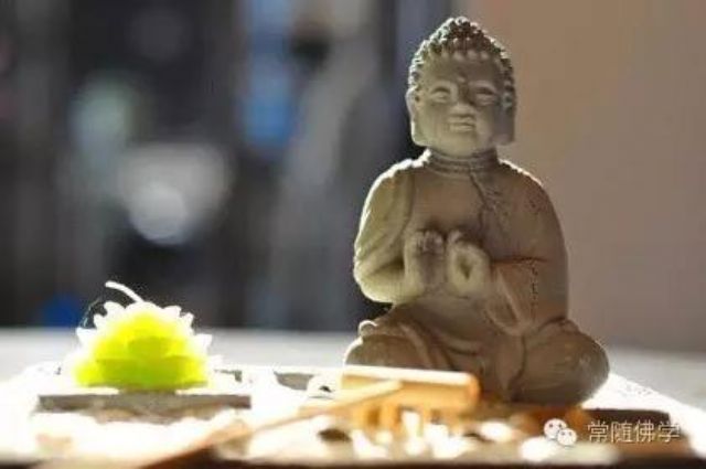 这个念佛人为何会投胎为小狗? 这个念佛人为何会投胎为小狗?