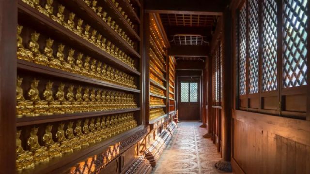 ����˵�������Ĺǡ�