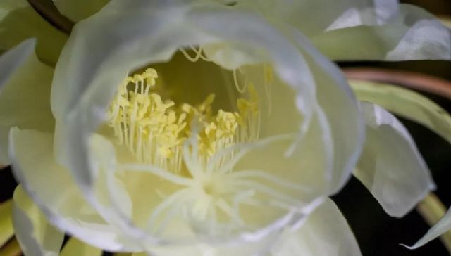 现世因果故事5则:好人好报,恶人恶报,真实不虚 现世因果故事5则:好人好报,恶人恶报,真实不虚