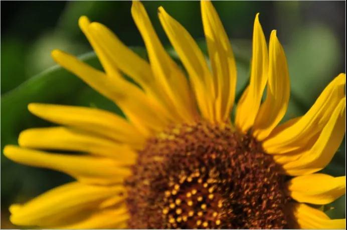 ӡ�ⷨʦ�������������������