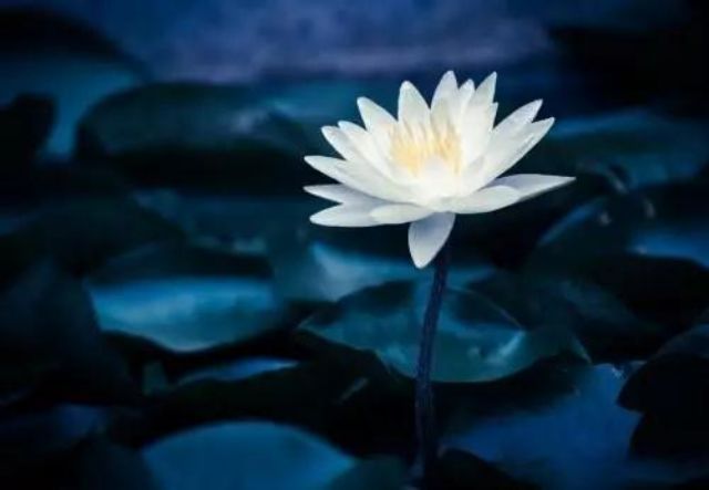 ������زؾ���ǧ�ಿ���仯�޴������棡