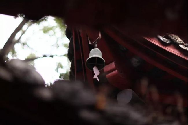 放生躲过大劫难(附:烫死白蛇遭惨烈报复) 放生躲过大劫难(附:烫死白蛇遭惨烈报复)