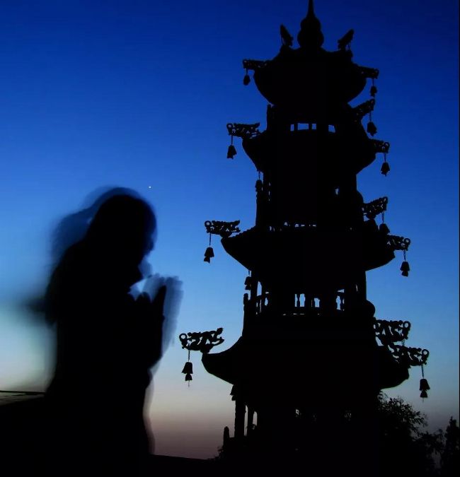 放生躲过大劫难(附:烫死白蛇遭惨烈报复) 放生躲过大劫难(附:烫死白蛇遭惨烈报复)