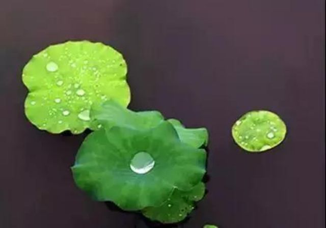 �ĸ��̵ܶĹ��£�����һ��