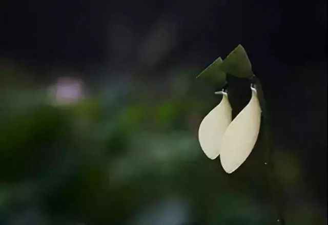 �ĸ��̵ܶĹ��£�����һ��