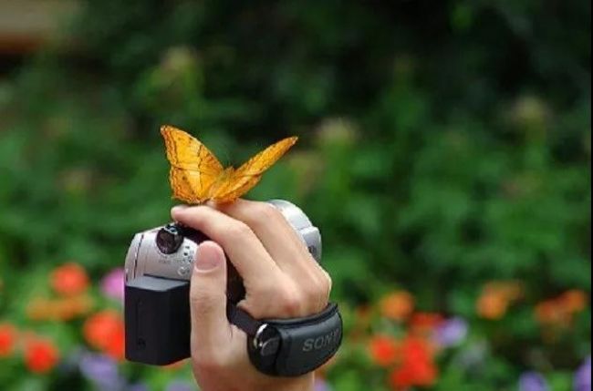 ������Լ������������ģ�