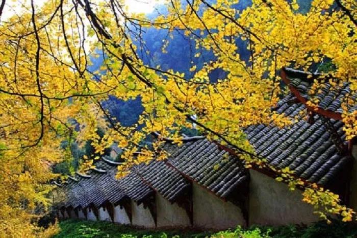 Ϊ������ƽʱ������к�Ŭ����������ȴ�Է�ŷ��У�