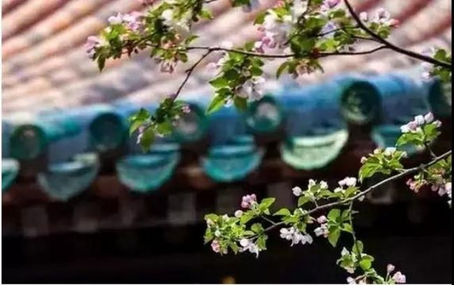 这样预测福祸,无不应验! 这样预测福祸,无不应验!