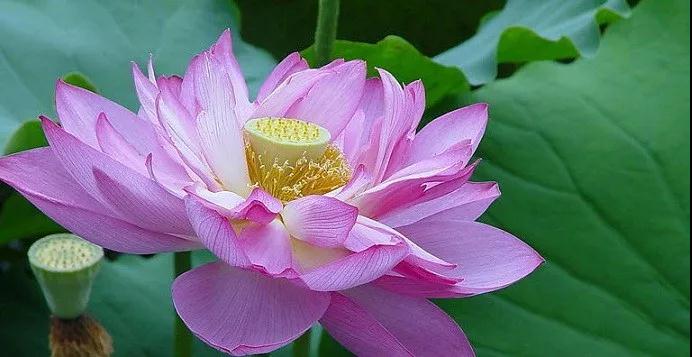 ����ȫ���ܷ��������֣�