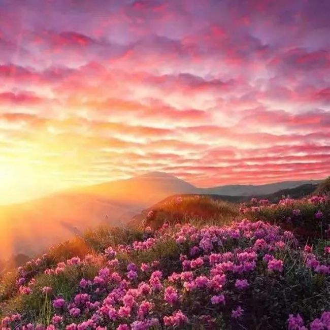 ���_|_ĩ��ʱ�������˵İ�������ʴ�ʦ������