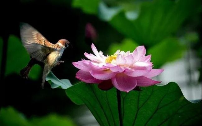 ��Ҫ��ʲôʱ����ŷ�