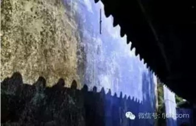 Ů��ʿ��κ�����ʦ���ദ�������Լ��Ƿ�������������ɮ����