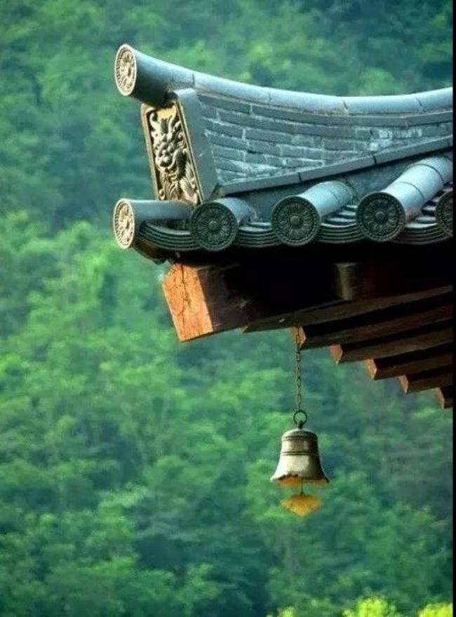 ������ʲô��˼����Ҫ��Ϊ�Լ��������