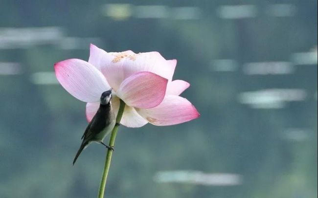 ѧ��������������ô�죿