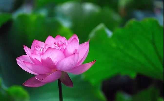 修行修到什么时候才能“坐怀不乱” 修行修到什么时候才能“坐怀不乱”